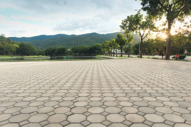 Best Cobblestone Driveway Pavers  in Lauderhill, FL